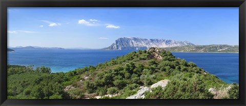 Framed Trees on a hill, Capo Coda Cavallo, Baronia, Sardinia, Italy Print