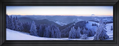 Framed Snow covered trees on a hill, Feldberg Mountain, Black Forest, Baden-Wurttemberg, Germany Print