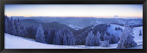 Framed Snow covered trees on a hill, Feldberg Mountain, Black Forest, Baden-Wurttemberg, Germany Print