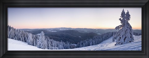 Framed Snow covered trees on a hill, Belchen Mountain, Black Forest, Baden-Wurttemberg, Germany Print