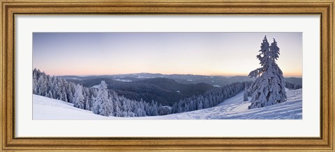 Framed Snow covered trees on a hill, Belchen Mountain, Black Forest, Baden-Wurttemberg, Germany Print