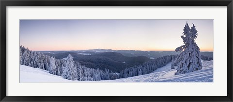 Framed Snow covered trees on a hill, Belchen Mountain, Black Forest, Baden-Wurttemberg, Germany Print