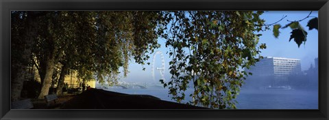 Framed Ferris wheel looking viewed through trees, Millennium Wheel, Thames River, South Bank, London, England Print