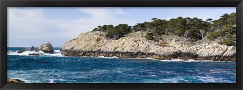 Framed Coastline, Point Lobos State Reserve, Carmel, Monterey County, California Print
