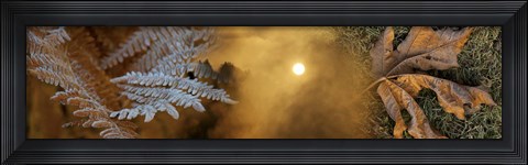 Framed Cold feet leaves Print