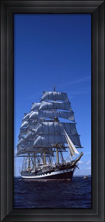 Framed Tall ships race in the ocean, Baie De Douarnenez, Finistere, Brittany, France Print