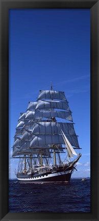 Framed Tall ships race in the ocean, Baie De Douarnenez, Finistere, Brittany, France Print