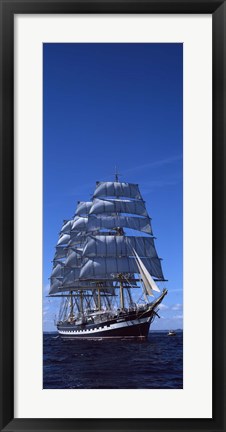 Framed Tall ships race in the ocean, Baie De Douarnenez, Finistere, Brittany, France Print