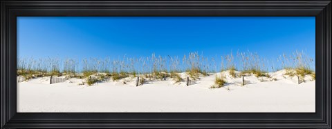 Framed Sand dunes on Gulf Of Mexico, Orange Beach, Baldwin County, Alabama, USA Print