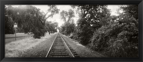 Framed Railroad track, Napa Valley, California, USA Print