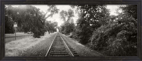 Framed Railroad track, Napa Valley, California, USA Print