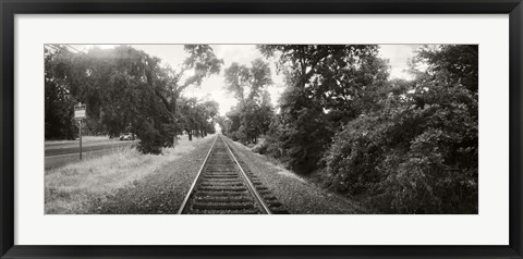 Framed Railroad track, Napa Valley, California, USA Print