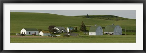 Framed Farm with double barns in wheat fields, Washington State, USA Print