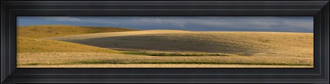 Framed Wheat field, Palouse, Washington State, USA Print