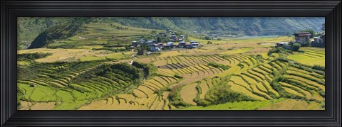 Framed Rice terraced fields and houses in the mountains, Punakha, Bhutan Print