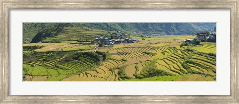 Framed Rice terraced fields and houses in the mountains, Punakha, Bhutan Print