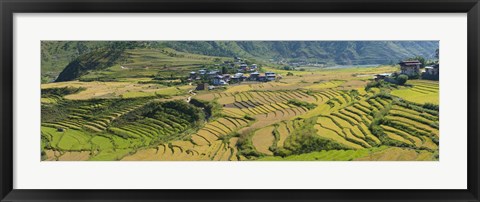 Framed Rice terraced fields and houses in the mountains, Punakha, Bhutan Print