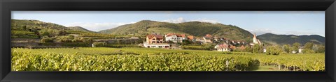 Framed Crop in a vineyard, Weissenkirchen, Wachau, Austria Print