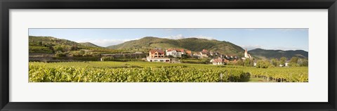 Framed Crop in a vineyard, Weissenkirchen, Wachau, Austria Print