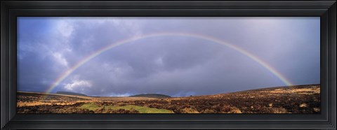 Framed Rainbow above Fernworthy Forest, Dartmoor, Devon, England Print