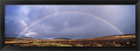 Framed Rainbow above Fernworthy Forest, Dartmoor, Devon, England Print