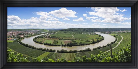 Framed High angle view of vineyards, Neckar River, Mundelsheim, Baden-Wurttemberg, Germany Print