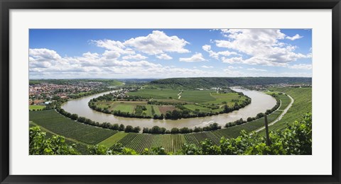 Framed High angle view of vineyards, Neckar River, Mundelsheim, Baden-Wurttemberg, Germany Print