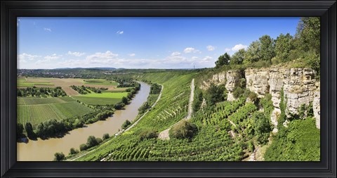 Framed High angle view of vineyards, Neckar River, Hessigheim, Baden-Wurttemberg, Germany Print