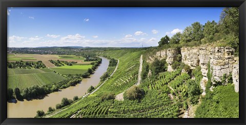 Framed High angle view of vineyards, Neckar River, Hessigheim, Baden-Wurttemberg, Germany Print