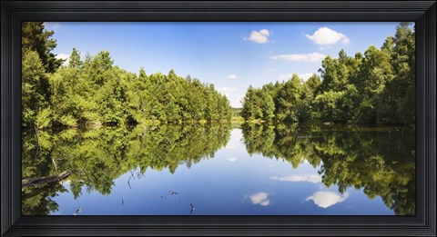 Framed Source of the Neckar River in the Schwenninger moss, Villingen-Schwenningen, Baden-Wurttemberg, Germany Print