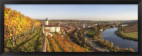 Framed Vineyards around a castle, Horneck Castle, Gundelsheim, Baden-Wurttemberg, Germany Print