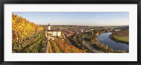 Framed Vineyards around a castle, Horneck Castle, Gundelsheim, Baden-Wurttemberg, Germany Print