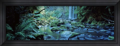 Framed Waterfall in a forest, Hopetown Falls, Great Ocean Road, Otway Ranges National Park, Victoria, Australia Print