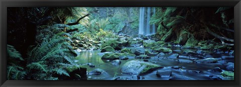 Framed Waterfall in a forest, Hopetown Falls, Great Ocean Road, Otway Ranges National Park, Victoria, Australia Print