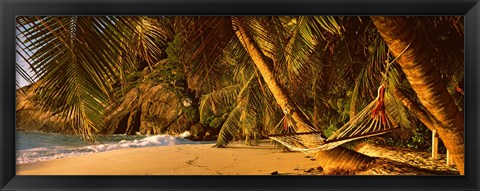 Framed Hammock between two palm trees, Seychelles Print