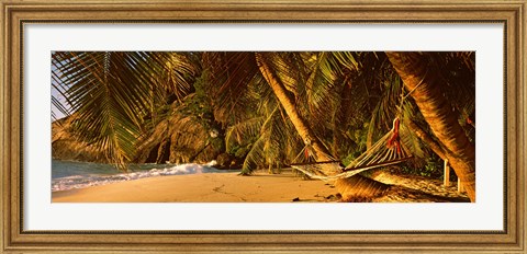Framed Hammock between two palm trees, Seychelles Print