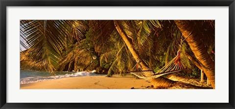 Framed Hammock between two palm trees, Seychelles Print