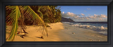 Framed Palm trees on the edge of a small beach, Seychelles Print