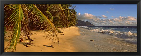 Framed Palm trees on the edge of a small beach, Seychelles Print