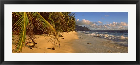 Framed Palm trees on the edge of a small beach, Seychelles Print