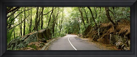 Framed Road passing through an indigenous forest, Mahe Island, Seychelles Print