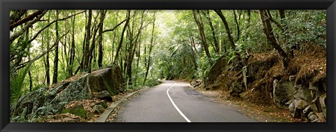 Framed Road passing through an indigenous forest, Mahe Island, Seychelles Print