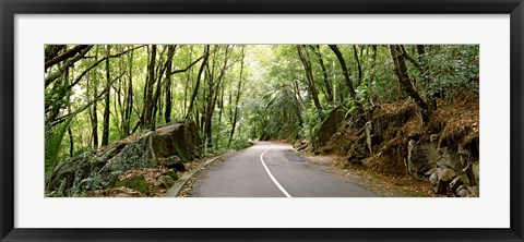 Framed Road passing through an indigenous forest, Mahe Island, Seychelles Print