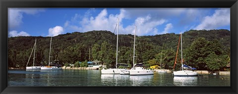 Framed Yachts anchored at the harbor on La Digue Island, Seychelles Print