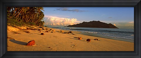 Framed Coconuts on a palm lined beach on North Island with Silhouette Island in the background, Seychelles Print