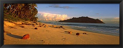 Framed Coconuts on a palm lined beach on North Island with Silhouette Island in the background, Seychelles Print