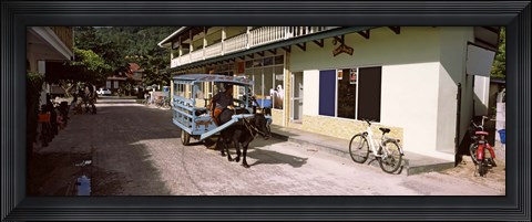 Framed Ox-drawn cart in a street, La Digue Island, Seychelles Print
