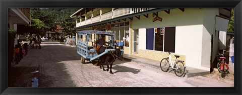 Framed Ox-drawn cart in a street, La Digue Island, Seychelles Print