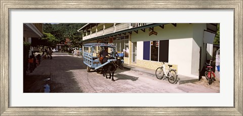 Framed Ox-drawn cart in a street, La Digue Island, Seychelles Print