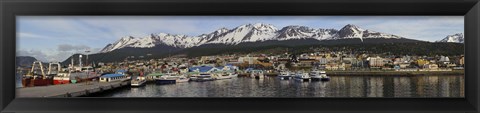 Framed Tierra Del Fuego, Patagonia, Argentina Print